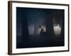 A Fallow Deer Male Buck, Dama Dama, in Autumn Mist-Alex Saberi-Framed Photographic Print