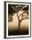 A Fallow Deer Runs Through Richmond Park on a Misty Morning in Autumn-Alex Saberi-Framed Premium Photographic Print