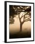 A Fallow Deer Runs Through Richmond Park on a Misty Morning in Autumn-Alex Saberi-Framed Premium Photographic Print