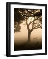 A Fallow Deer Runs Through Richmond Park on a Misty Morning in Autumn-Alex Saberi-Framed Photographic Print