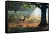 A Fallow Deer Stag, Dama Dama, Resting in a Misty Forest in Richmond Park in Autumn-Alex Saberi-Framed Stretched Canvas