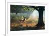 A Fallow Deer Stag, Dama Dama, Resting in a Misty Forest in Richmond Park in Autumn-Alex Saberi-Framed Photographic Print