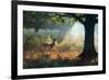 A Fallow Deer Stag, Dama Dama, Resting in a Misty Forest in Richmond Park in Autumn-Alex Saberi-Framed Photographic Print