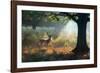 A Fallow Deer Stag, Dama Dama, Resting in a Misty Forest in Richmond Park in Autumn-Alex Saberi-Framed Photographic Print