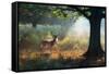 A Fallow Deer Stag, Dama Dama, Resting in a Misty Forest in Richmond Park in Autumn-Alex Saberi-Framed Stretched Canvas