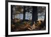 A Fallow Deer Stag, Dama Dama, Stands In Richmond Park At Dawn-Alex Saberi-Framed Photographic Print