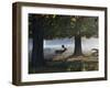 A Fallow Deer Stag, Dama Dama, Walking in a Misty Forest in Richmond Park in Autumn-Alex Saberi-Framed Photographic Print