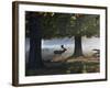 A Fallow Deer Stag, Dama Dama, Walking in a Misty Forest in Richmond Park in Autumn-Alex Saberi-Framed Photographic Print