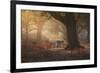 A Fallow Deer Stag, Dama Dama, Walks In Richmond Park At Sunrise-Alex Saberi-Framed Photographic Print