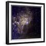 A False-color Image of the Star AE Aurigae-Stocktrek Images-Framed Photographic Print