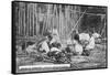 A Family at Work, Catamarca, Argentina, Early 20th Century-null-Framed Stretched Canvas