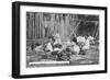 A Family at Work, Catamarca, Argentina, Early 20th Century-null-Framed Giclee Print