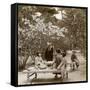 A Family Enjoying a Picnic under the Cherry Blossoms, Omuro Gosho, Kyoto, Japan, 1904-Underwood & Underwood-Framed Stretched Canvas