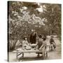 A Family Enjoying a Picnic under the Cherry Blossoms, Omuro Gosho, Kyoto, Japan, 1904-Underwood & Underwood-Stretched Canvas