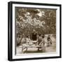 A Family Enjoying a Picnic under the Cherry Blossoms, Omuro Gosho, Kyoto, Japan, 1904-Underwood & Underwood-Framed Photographic Print