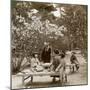 A Family Enjoying a Picnic under the Cherry Blossoms, Omuro Gosho, Kyoto, Japan, 1904-Underwood & Underwood-Mounted Photographic Print