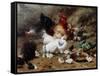 A Family of Chickens-Eugene Remy Maes-Framed Stretched Canvas