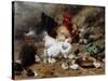 A Family of Chickens-Eugene Remy Maes-Stretched Canvas