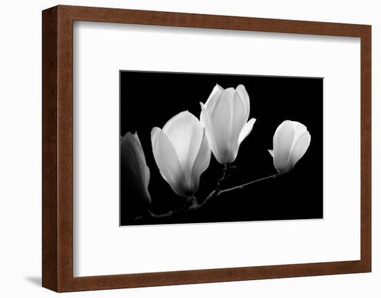 A Family Of Light, 2007-Hiroyuki Arakawa-Framed Photographic Print