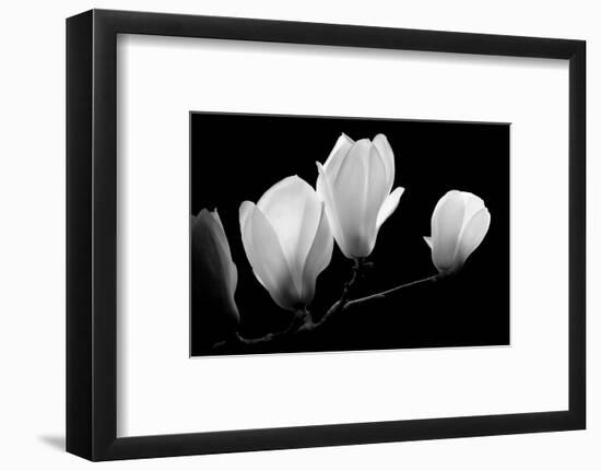 A Family Of Light, 2007-Hiroyuki Arakawa-Framed Photographic Print