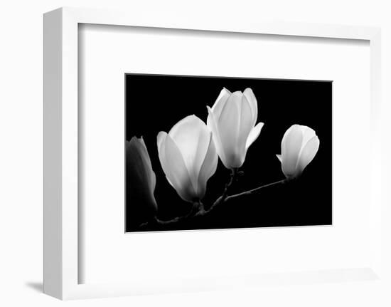 A Family Of Light, 2007-Hiroyuki Arakawa-Framed Photographic Print