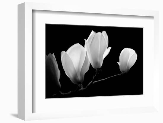 A Family Of Light, 2007-Hiroyuki Arakawa-Framed Photographic Print