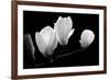 A Family Of Light, 2007-Hiroyuki Arakawa-Framed Photographic Print