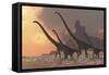 A Family of Mamenchisaurus Dinosaurs-null-Framed Stretched Canvas