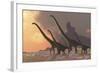 A Family of Mamenchisaurus Dinosaurs-null-Framed Art Print