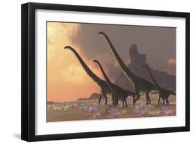 A Family of Mamenchisaurus Dinosaurs-null-Framed Premium Giclee Print