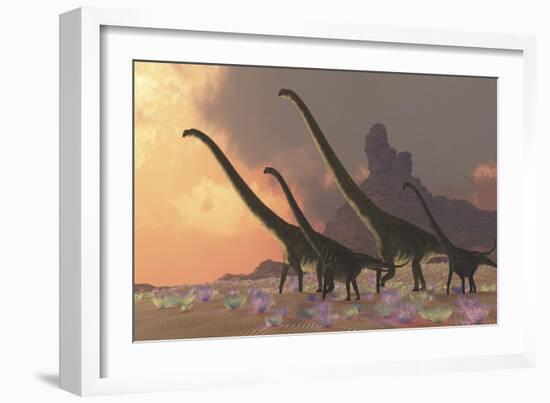 A Family of Mamenchisaurus Dinosaurs-null-Framed Premium Giclee Print