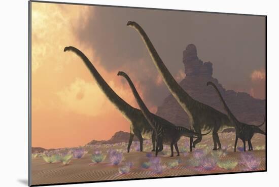 A Family of Mamenchisaurus Dinosaurs-null-Mounted Premium Giclee Print