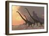 A Family of Mamenchisaurus Dinosaurs-null-Framed Art Print