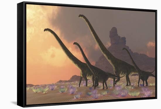 A Family of Mamenchisaurus Dinosaurs-null-Framed Stretched Canvas