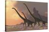 A Family of Mamenchisaurus Dinosaurs-null-Stretched Canvas
