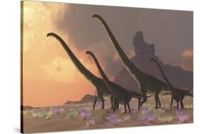 A Family of Mamenchisaurus Dinosaurs-null-Stretched Canvas