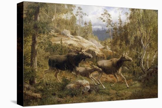 A Family of Moose-Carl Henrik Bogh-Stretched Canvas