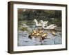 A Family Outing-John Frederick Hulk-Framed Giclee Print