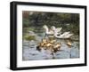 A Family Outing-John Frederick Hulk-Framed Giclee Print