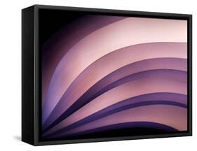A Fan of Purple-Ursula Abresch-Framed Stretched Canvas