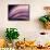 A Fan of Purple-Ursula Abresch-Framed Stretched Canvas displayed on a wall