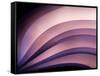 A Fan of Purple-Ursula Abresch-Framed Stretched Canvas