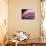 A Fan of Purple-Ursula Abresch-Stretched Canvas displayed on a wall