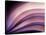A Fan of Purple-Ursula Abresch-Stretched Canvas
