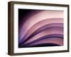 A Fan of Purple-Ursula Abresch-Framed Photographic Print