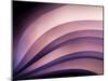 A Fan of Purple-Ursula Abresch-Mounted Photographic Print