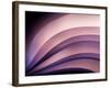 A Fan of Purple-Ursula Abresch-Framed Photographic Print