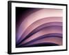 A Fan of Purple-Ursula Abresch-Framed Photographic Print