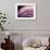 A Fan of Purple-Ursula Abresch-Framed Photographic Print displayed on a wall