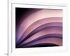 A Fan of Purple-Ursula Abresch-Framed Photographic Print